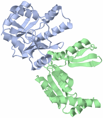 Image Asym./Biol. Unit