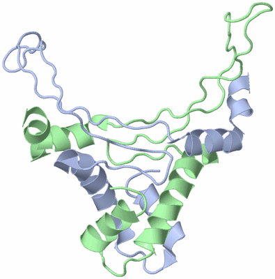 Image NMR Structure - model 1