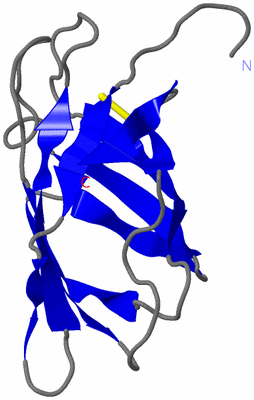 Image NMR Structure - model 1