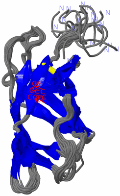 Image NMR Structure - all models