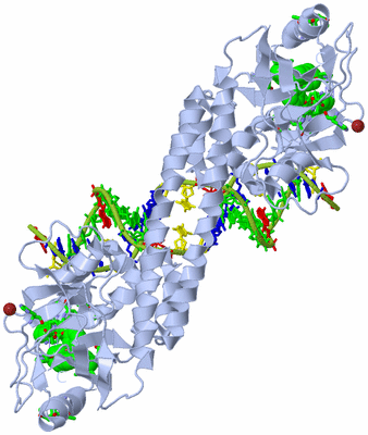 Image Biol. Unit 1 - sites