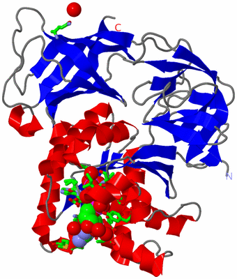 Image Asym./Biol. Unit - sites