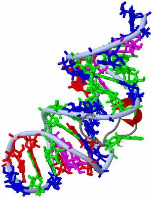 Image NMR Structure - model 1