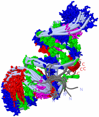 Image NMR Structure - all models