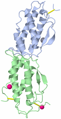 Image Biological Unit 1