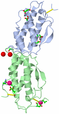 Image Biol. Unit 1 - sites