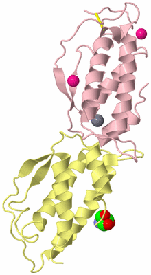 Image Biological Unit 2