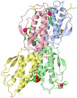 Image Asym. Unit - sites