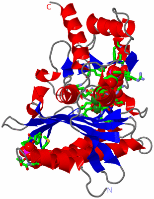 Image Asym. Unit - sites