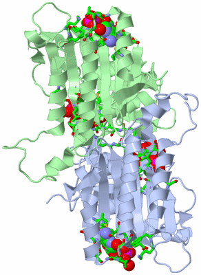 Image Asym. Unit - sites