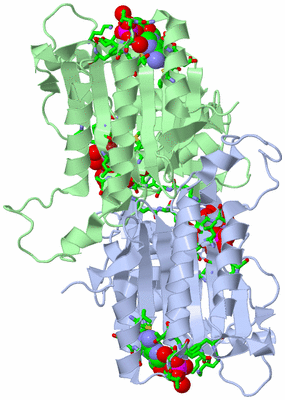 Image Asym. Unit - sites