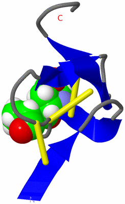 Image NMR Structure - model 1