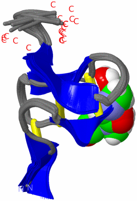 Image NMR Structure - all models