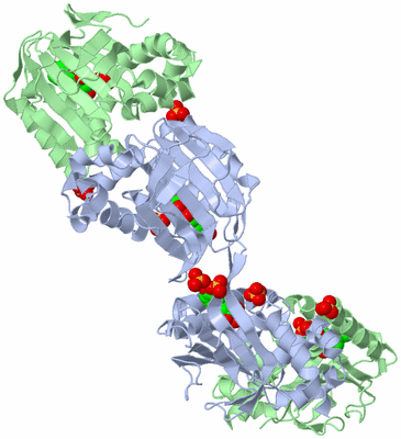 Image Biological Unit 3