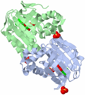 Image Biological Unit 4