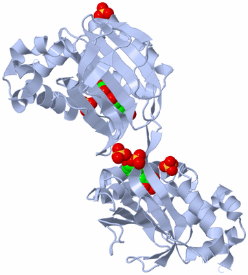 Image Biological Unit 5