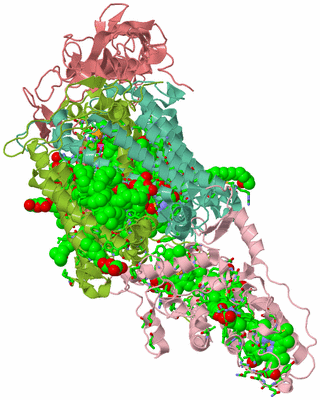 Image Asym./Biol. Unit - sites