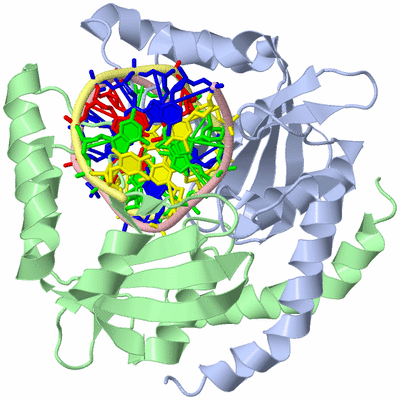 Image Asym./Biol. Unit