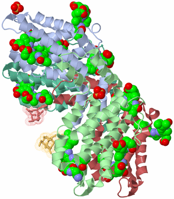 Image Biological Unit 1