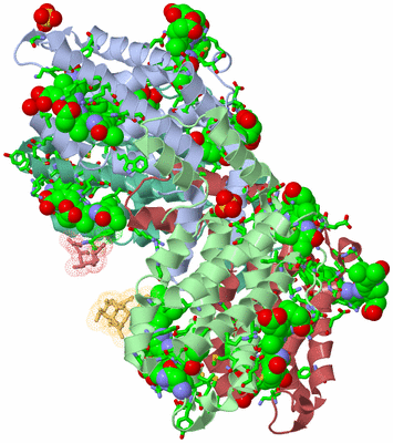 Image Biol. Unit 1 - sites