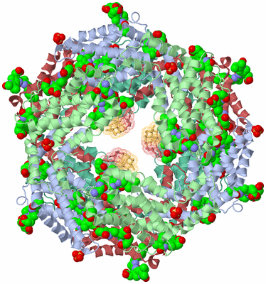 Image Biological Unit 2