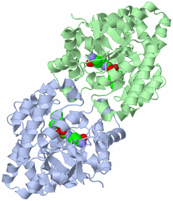 Image Asym./Biol. Unit