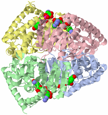 Image Biological Unit 1