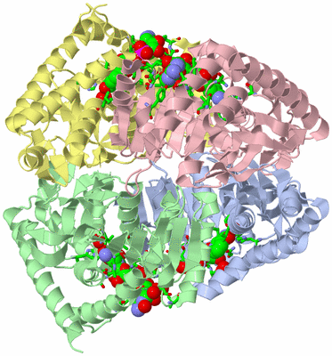 Image Biol. Unit 1 - sites