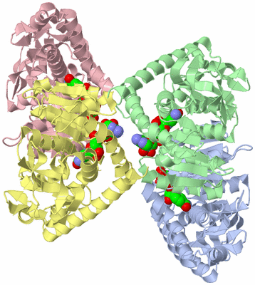 Image Biological Unit 2