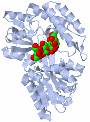 Image Biological Unit 1