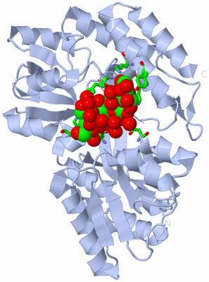 Image Biol. Unit 1 - sites