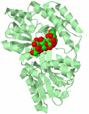 Image Biological Unit 2