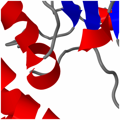 Image NMR Structure - model 1