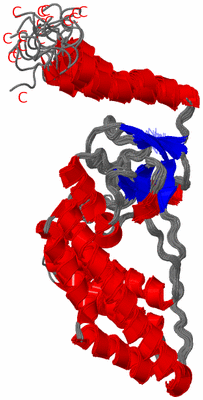 Image NMR Structure - all models