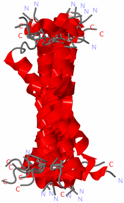 Image NMR Structure - all models