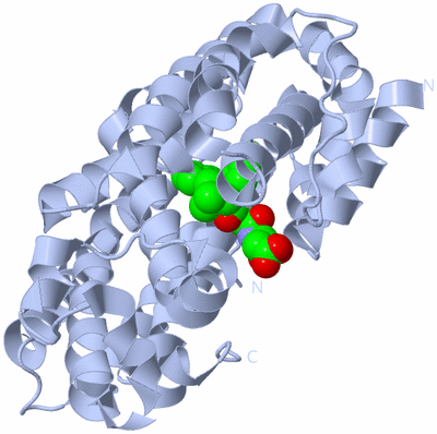 Image Biological Unit 1