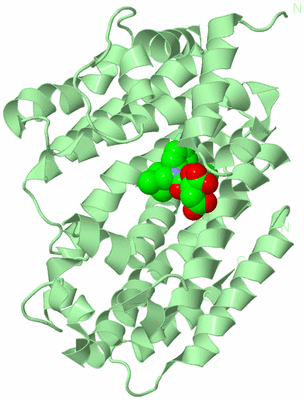 Image Biological Unit 2