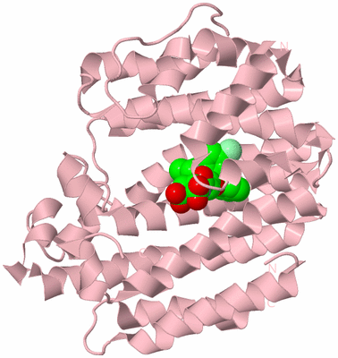 Image Biological Unit 3