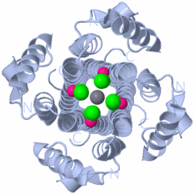 Image Biological Unit 1