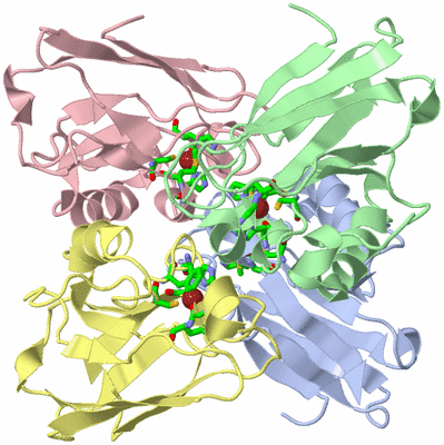 Image Asym./Biol. Unit - sites