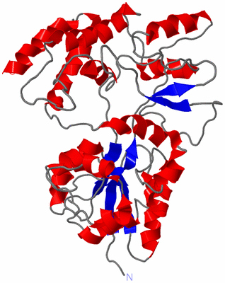 Image NMR Structure - model 1