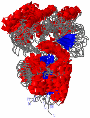 Image NMR Structure - all models