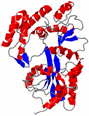 Image NMR Structure - model 1