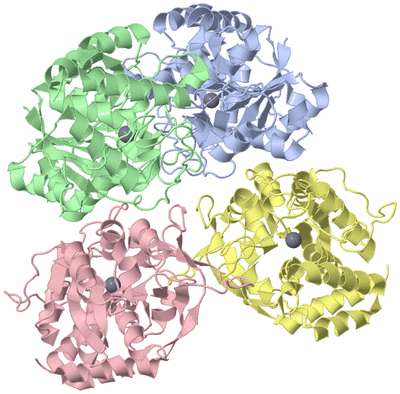 Image Asym./Biol. Unit
