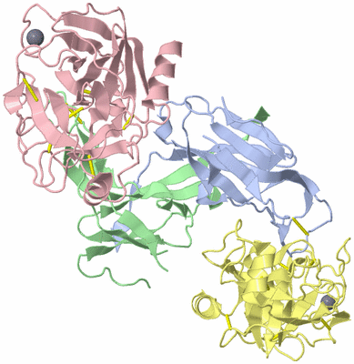 Image Asym./Biol. Unit