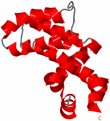 Image NMR Structure - model 1