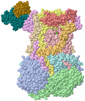 Image Biol. Unit 1 - sites