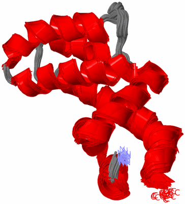 Image NMR Structure - all models