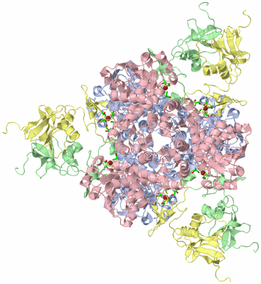 Image Biol. Unit 1 - sites