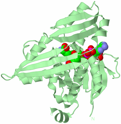 Image Biological Unit 2